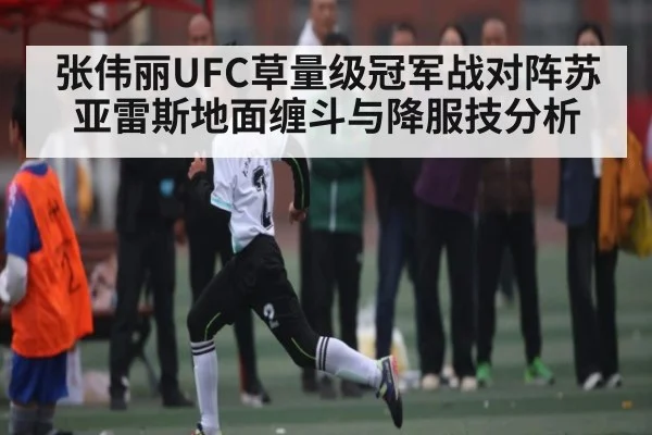 张伟丽UFC草量级冠军战对阵苏亚雷斯地面缠斗与降服技分析 - NG28